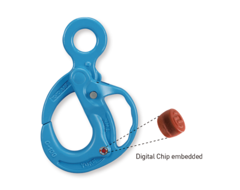 G-100 Eye Grip Safe Locking Hook